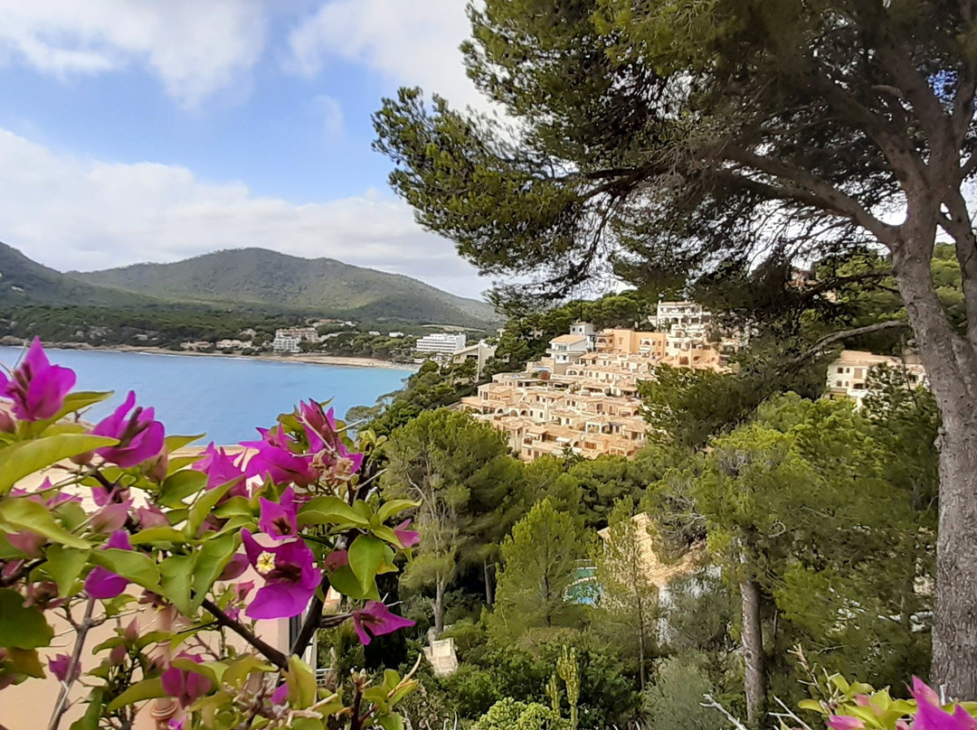 Platja de Canyamel-Canyamel必去景点