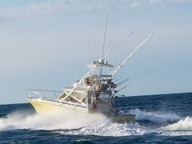 Carolina Girl Sportfishing Charters景点图片