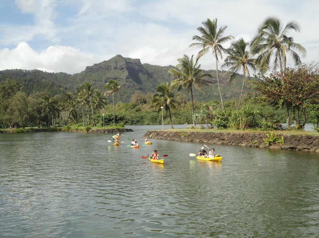 Kayak Wailua景点图片