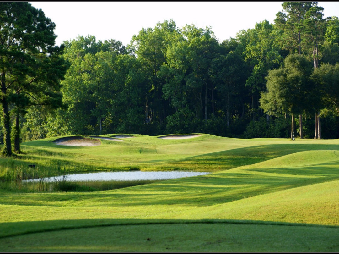Sapelo Hammock Golf Club-Shellman Bluff必去景点