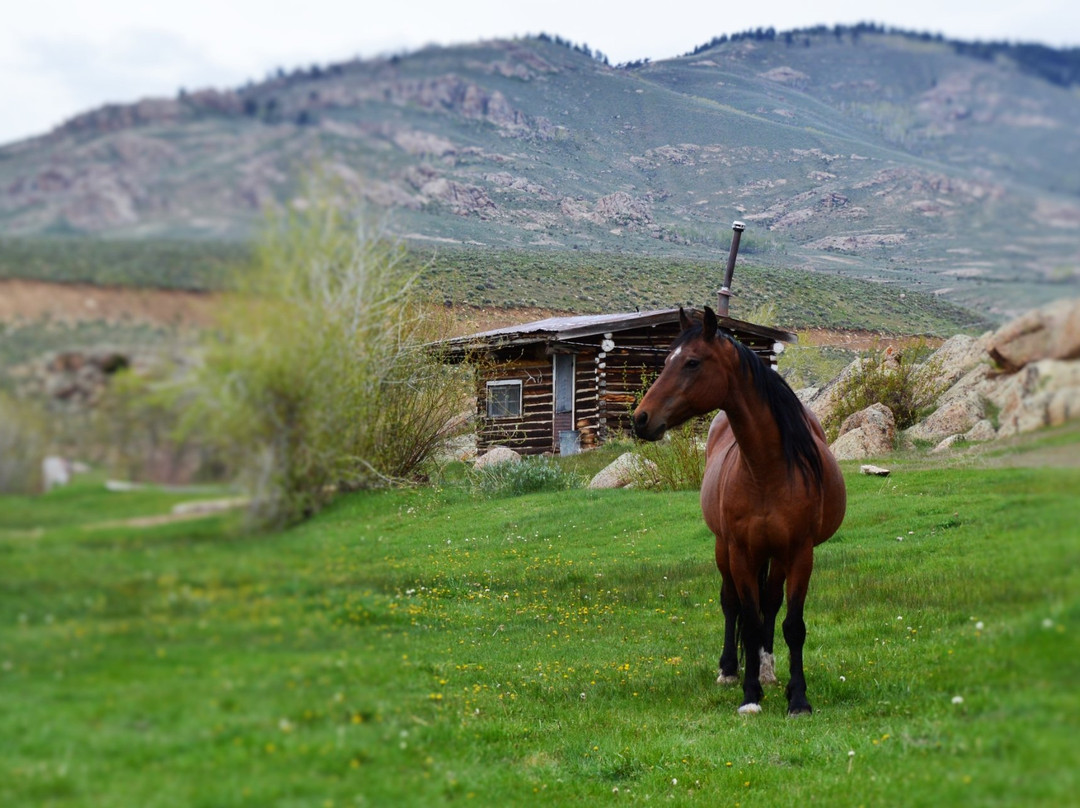 Quartz Creek Trail Rides-Parlin必去景点