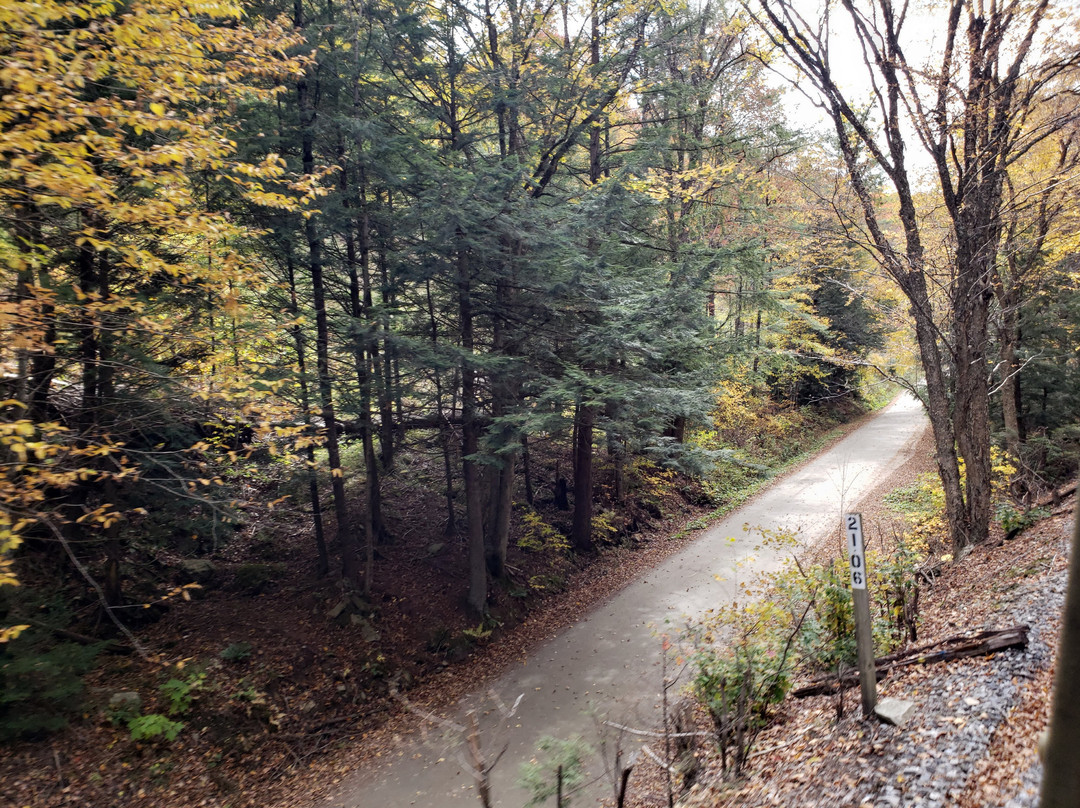 Green Mountain Flyer-Chester必去景点
