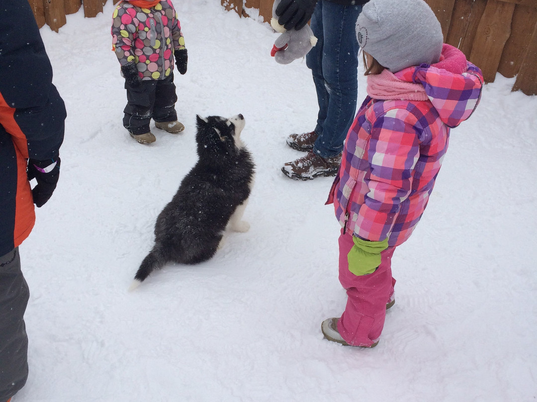 Kennel of Sled Dogs Klan Simurana-Zherebenki必去景点