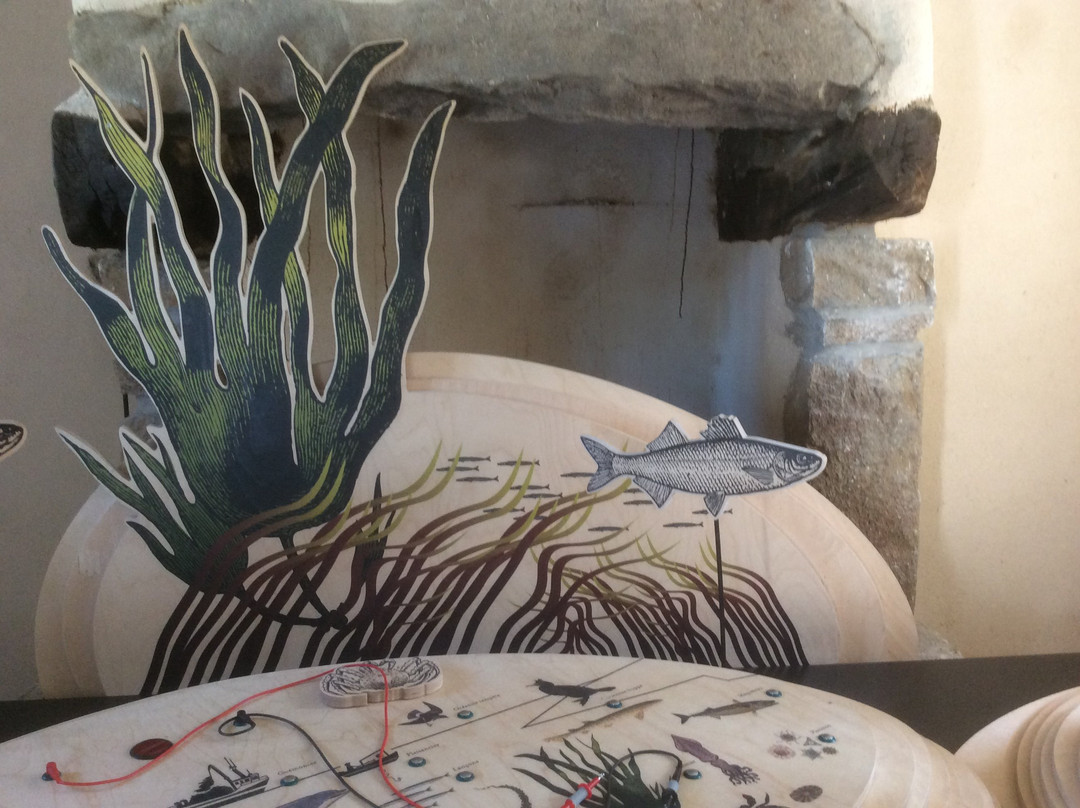 Maison de l'environnement insulaire-Ile Molene必去景点