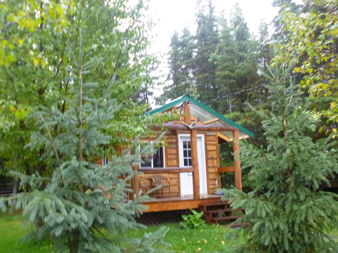 Alaska Horsemen Trail Adventures-Cooper Landing必去景点