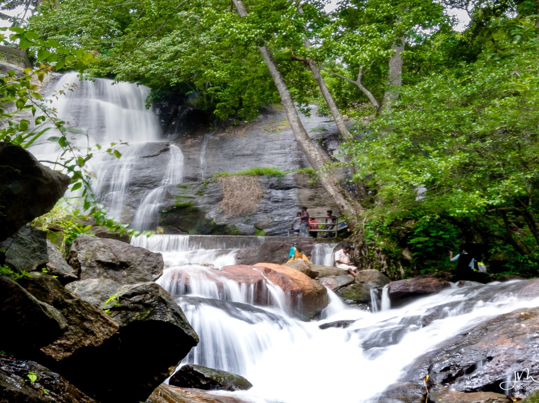 Areeckal Waterfalls景点图片