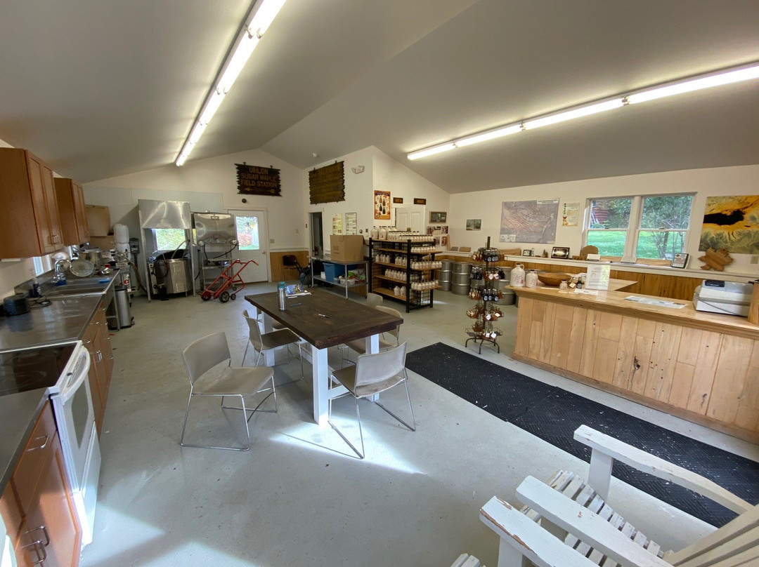 Uihlein Maple Research Forest-普莱西德湖必去景点