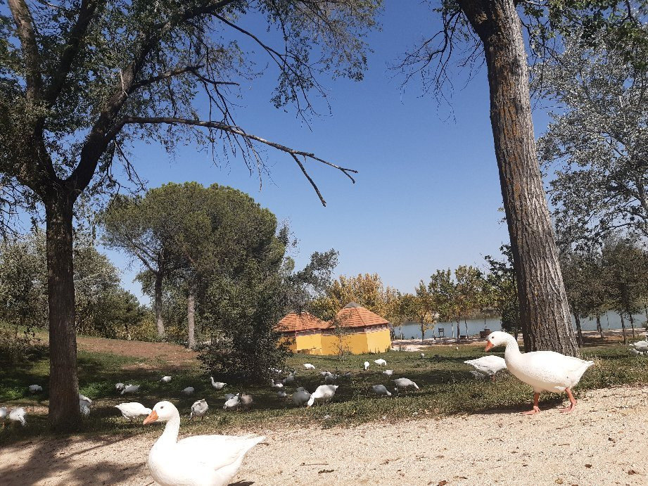 Parque de Polvoranca景点图片