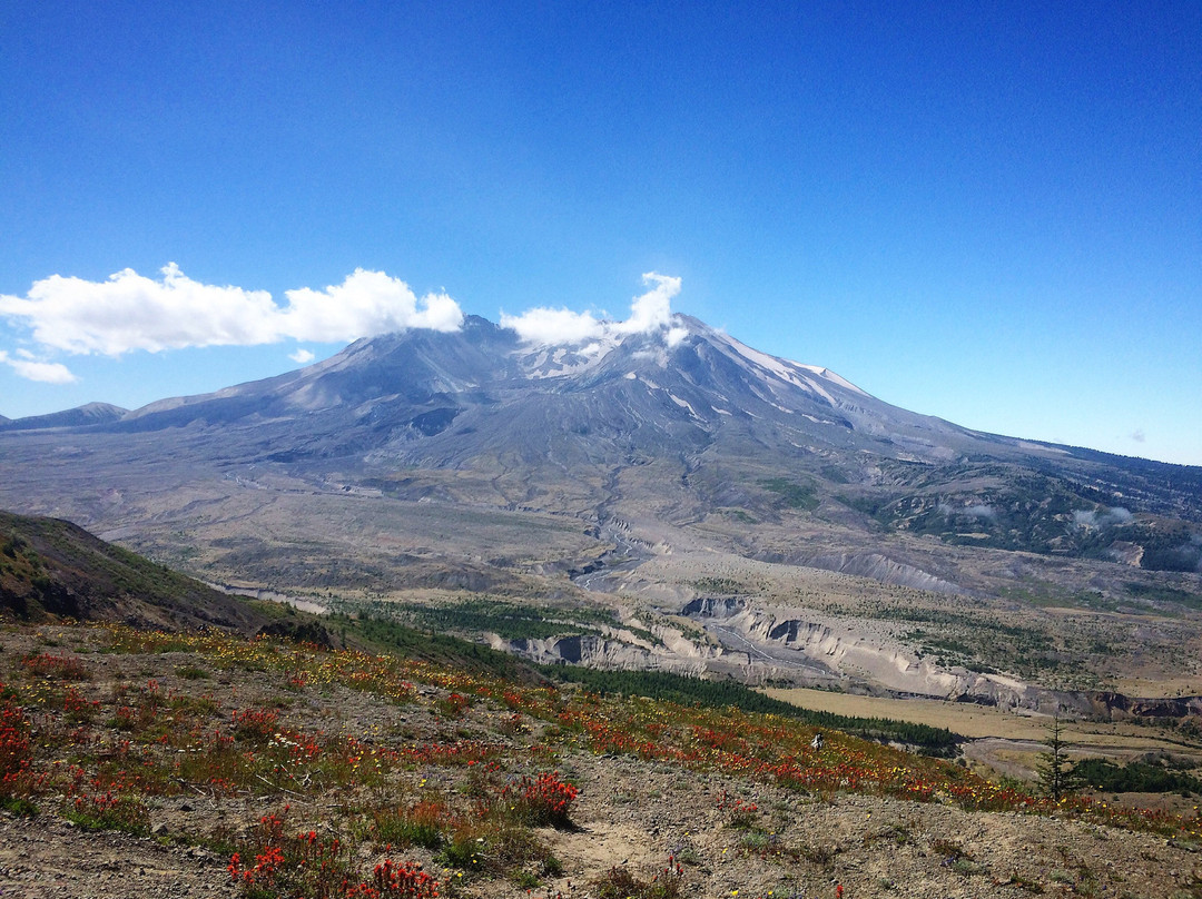 Johnston Ridge Observatory景点图片