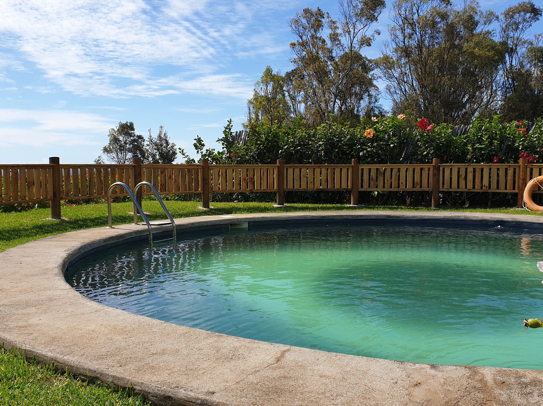 Altiplanico Rapa Nui主图