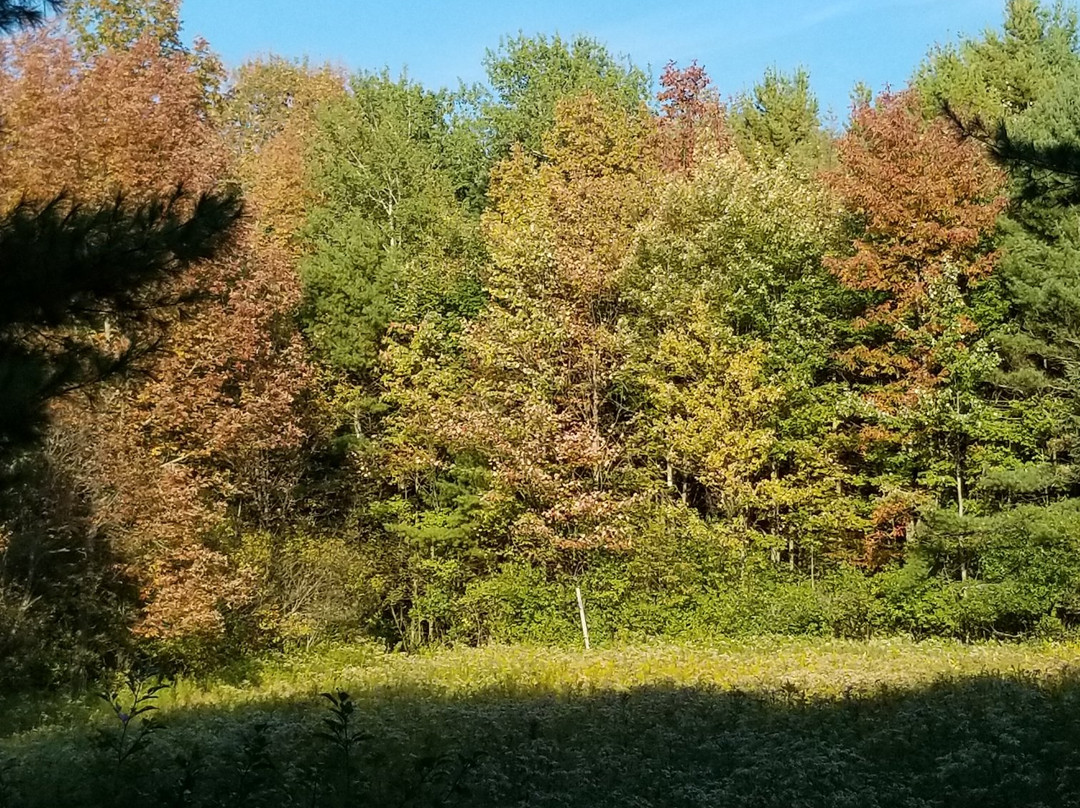 Kountry Living Bed and Breakfast主图