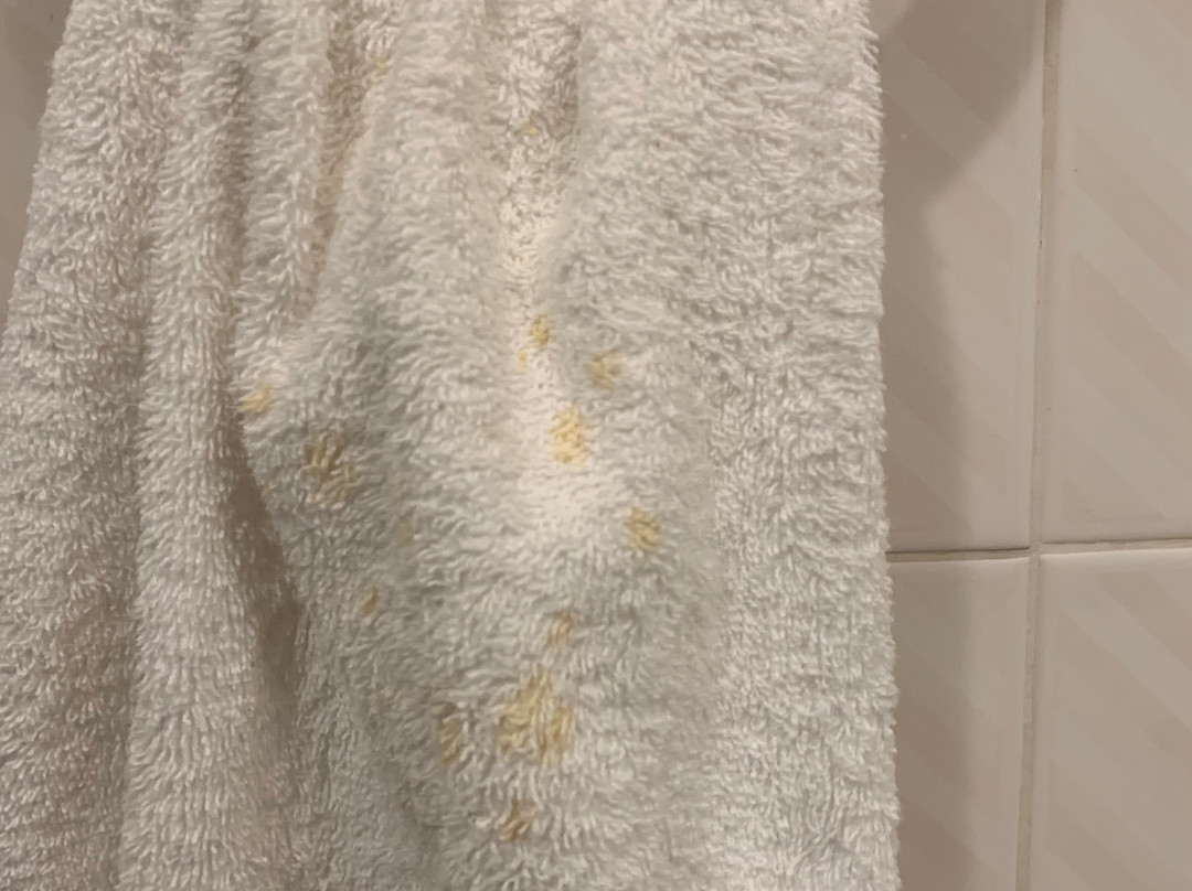 Auberge Alpine Inn主图