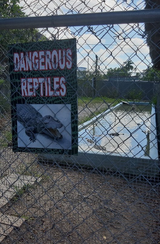 Everglades City Boardwalk-大沼泽地必去景点