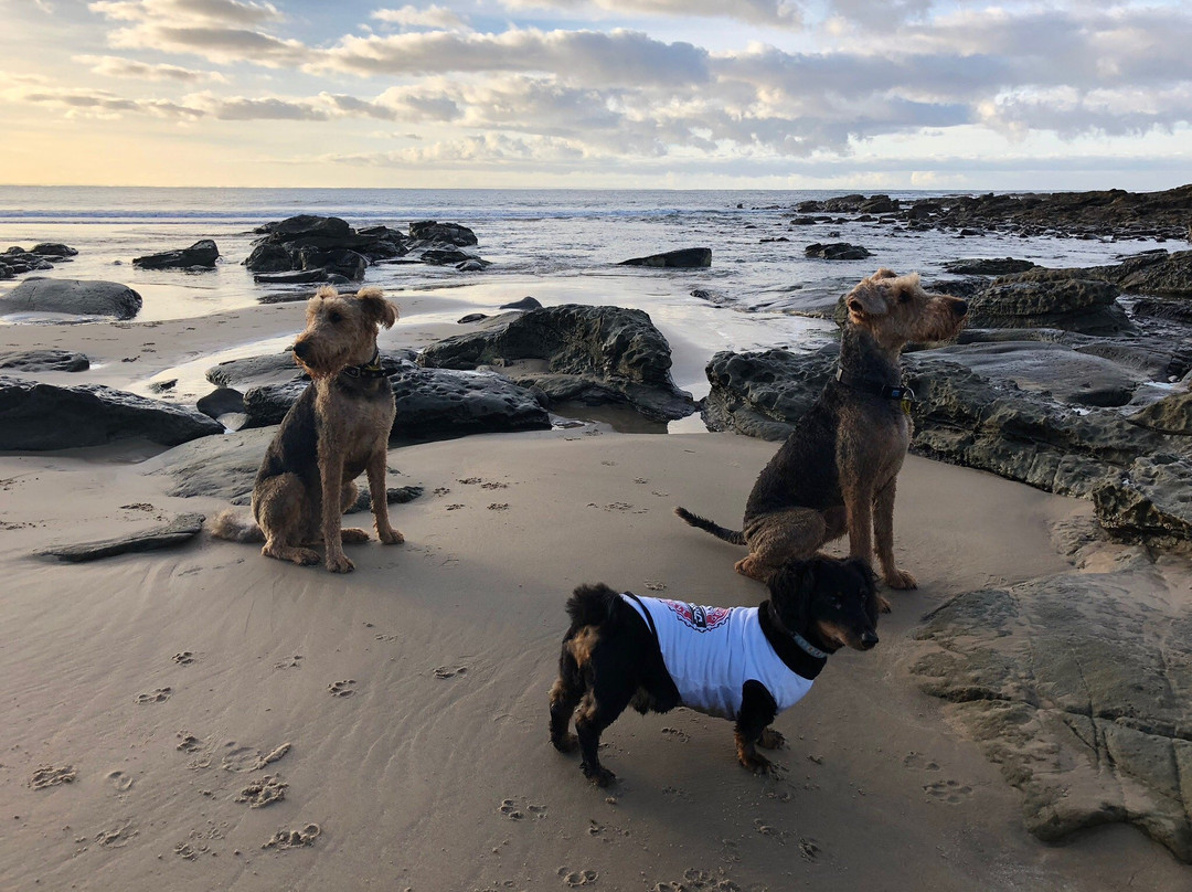 Cape Horn Lookout-Loch必去景点