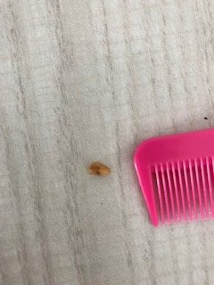 西班牙马门诺尔酒店