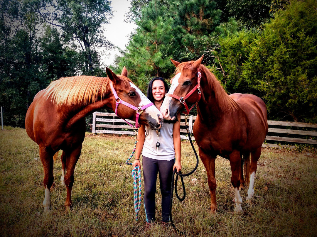 The Stables at Northeast Georgia-Carnesville必去景点