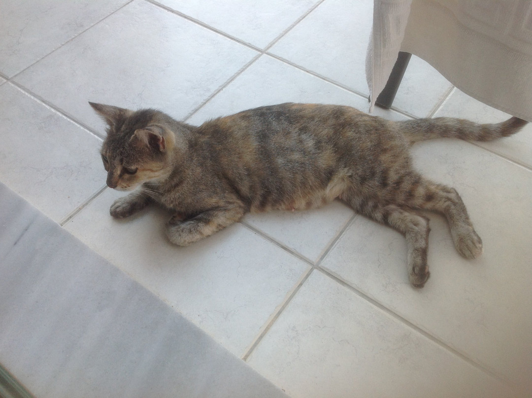 Sarantos Pool Suites主图