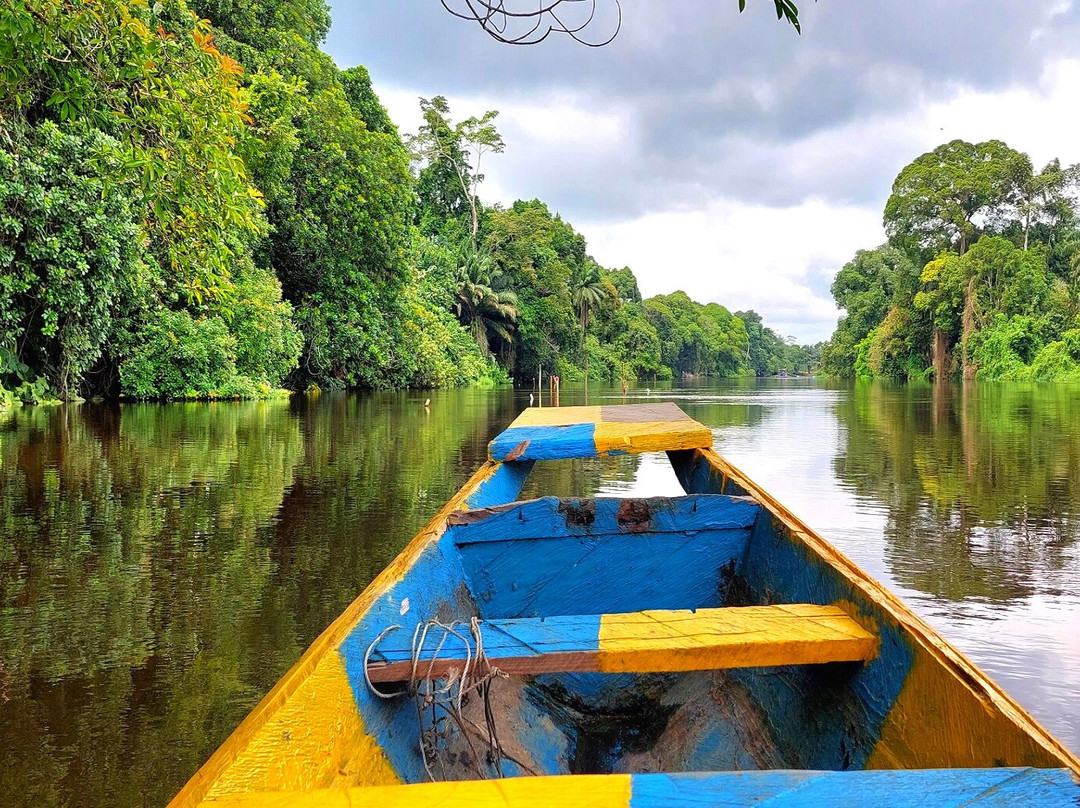 Village Pygmées De Dibongo À Kribi-Kribi必去景点