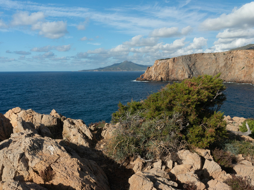 Torre di Cala Domestica-Buggerru必去景点