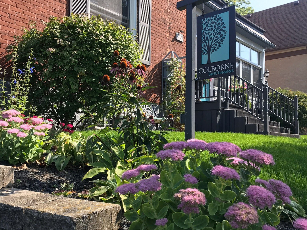 Colborne Bed and Breakfast主图