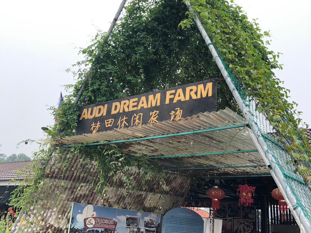 Audi Dream Farm景点图片