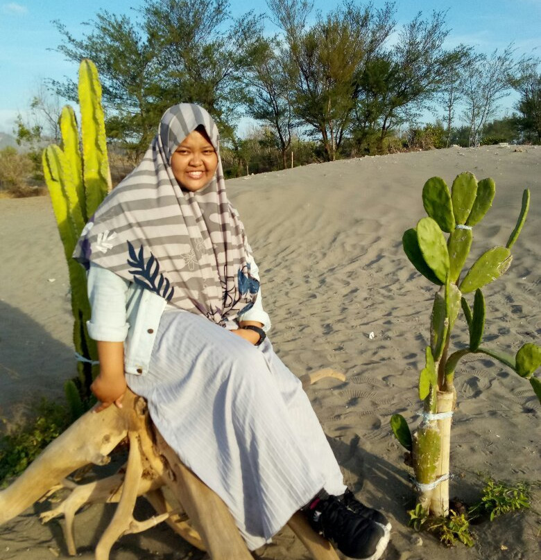Parangkusumo Sand Dunes景点图片