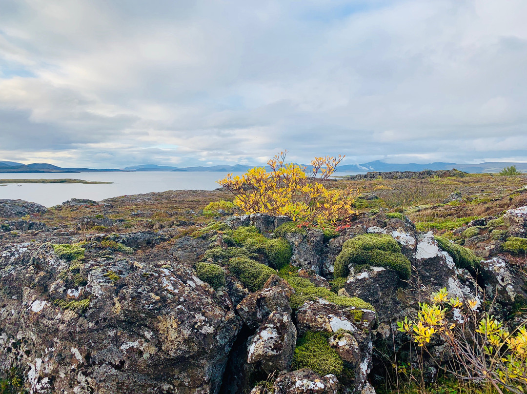 Reykjanes Tours-凯夫拉维克必去景点