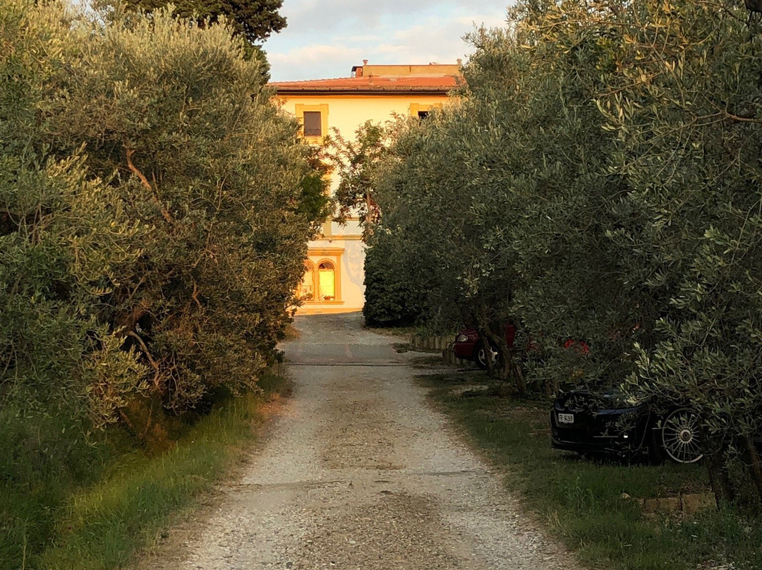 Villa Il Palazzino主图