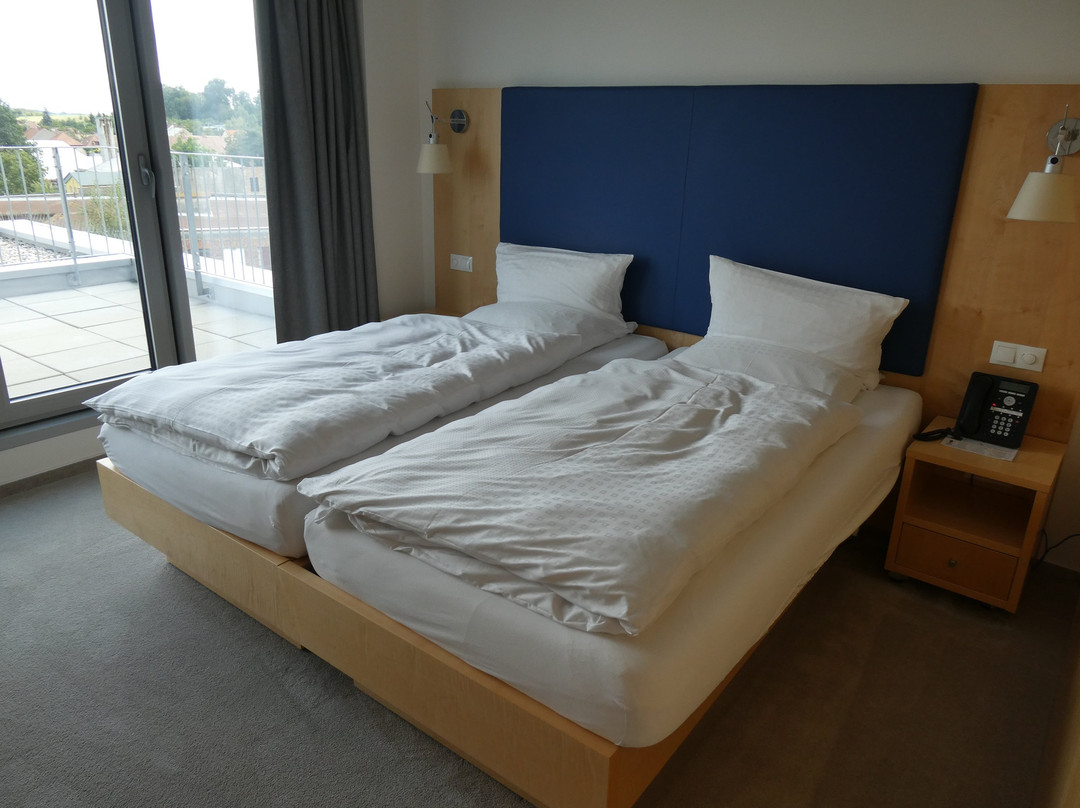 Hotel Erwin Junker主图