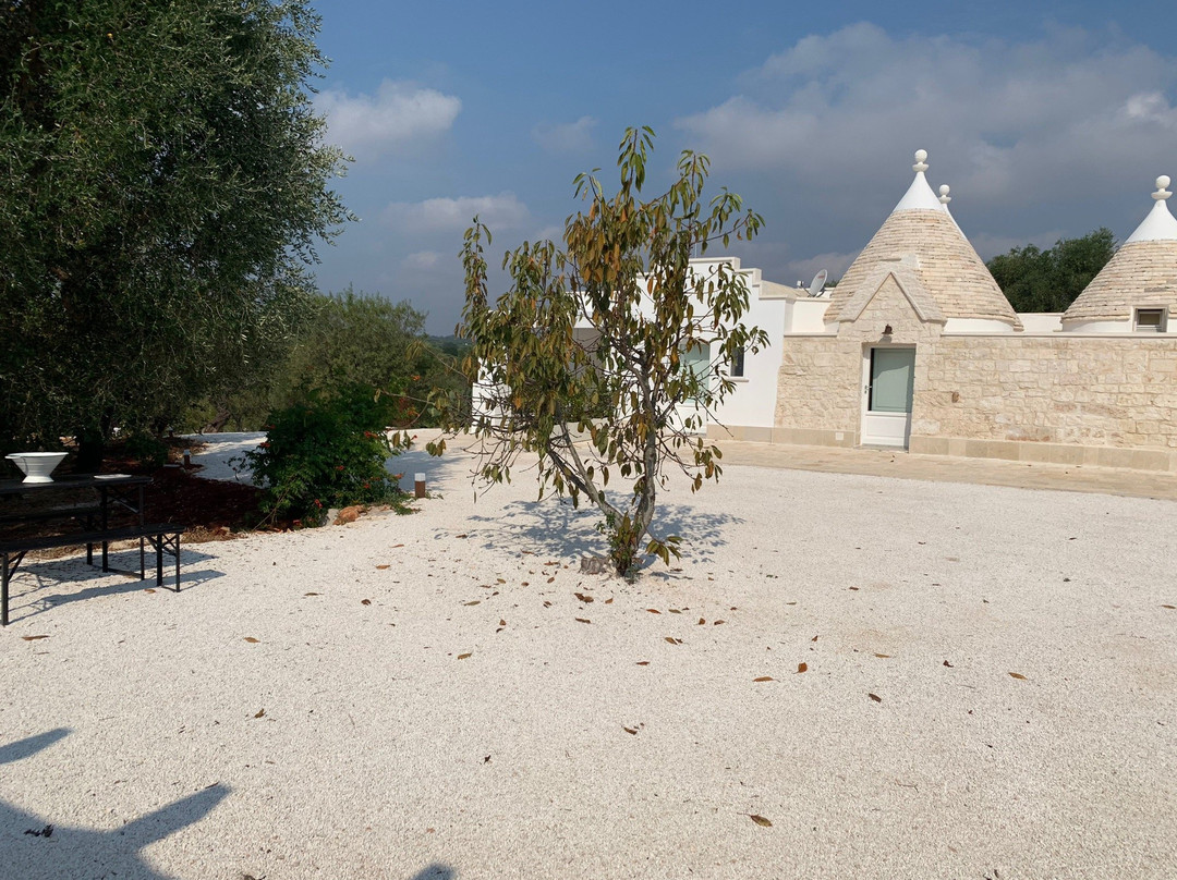 Ceglie Messapica酒店住宿-Trulli Pietraverde