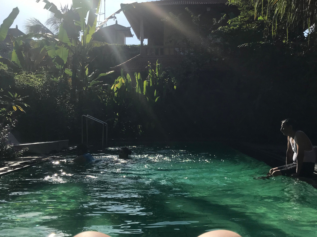 乌芭德酒店主图