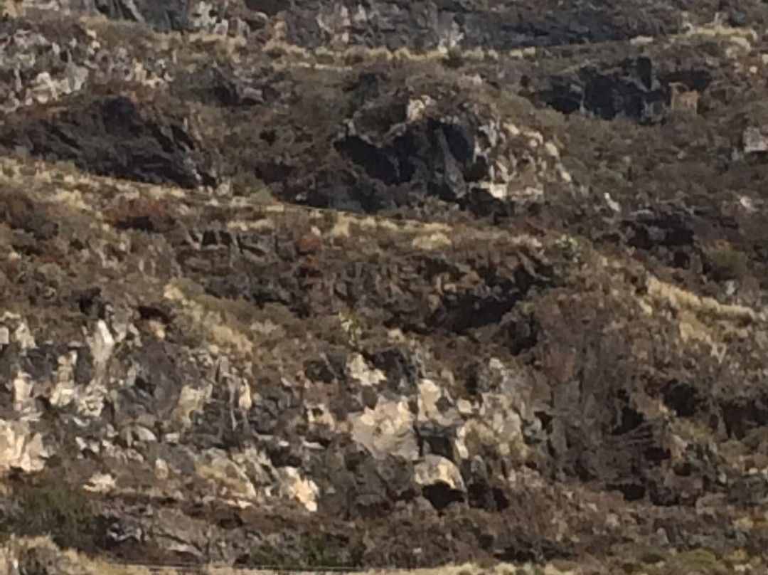 Playa de La Arena-Tacoronte必去景点