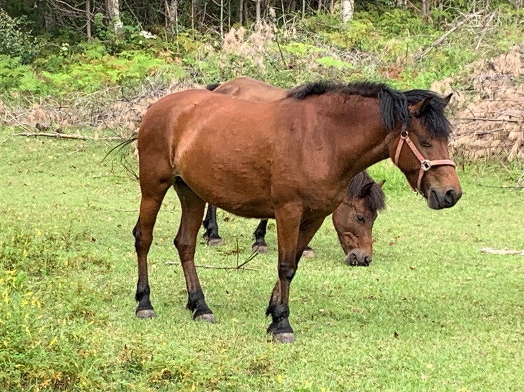Kisomanosato-木曾町必去景点