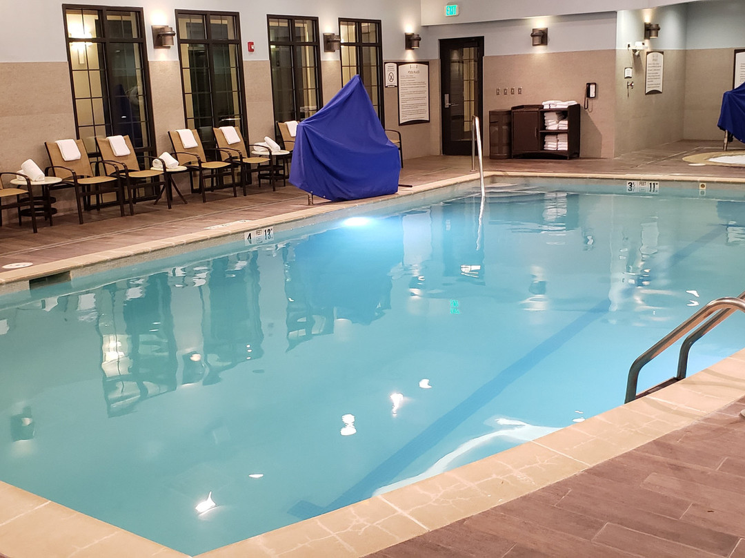 Staybridge Suites Albany Wolf Rd - Colonie Center主图