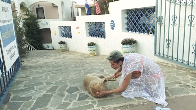 Chios Rooms Panorama主图