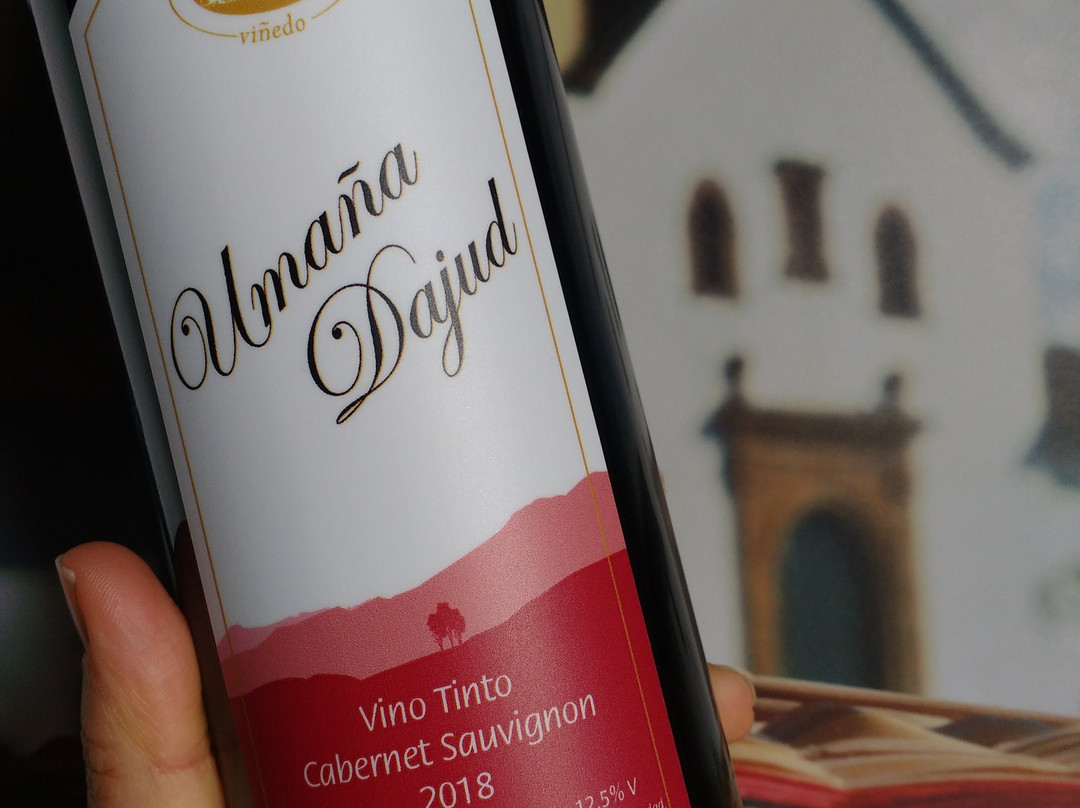 Dolce Vid Wine Bar-莱瓦镇必去景点