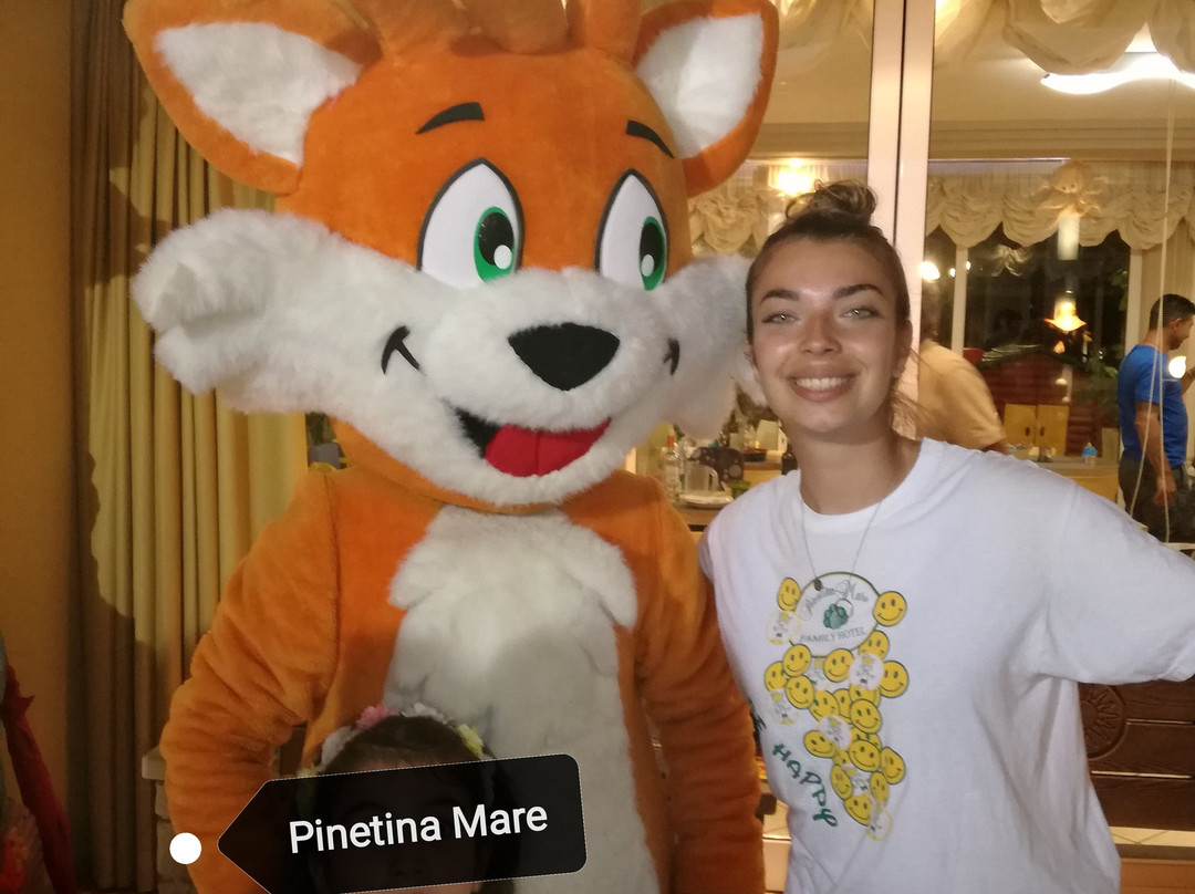 Pinetina Mare Baby Family Hotel主图