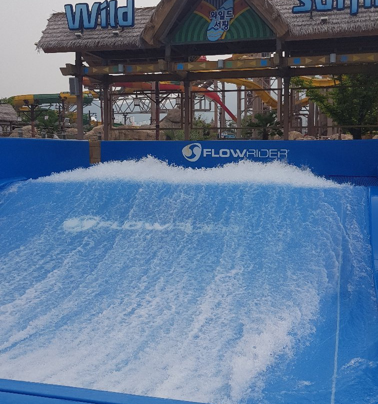 Lotte Water Park景点图片