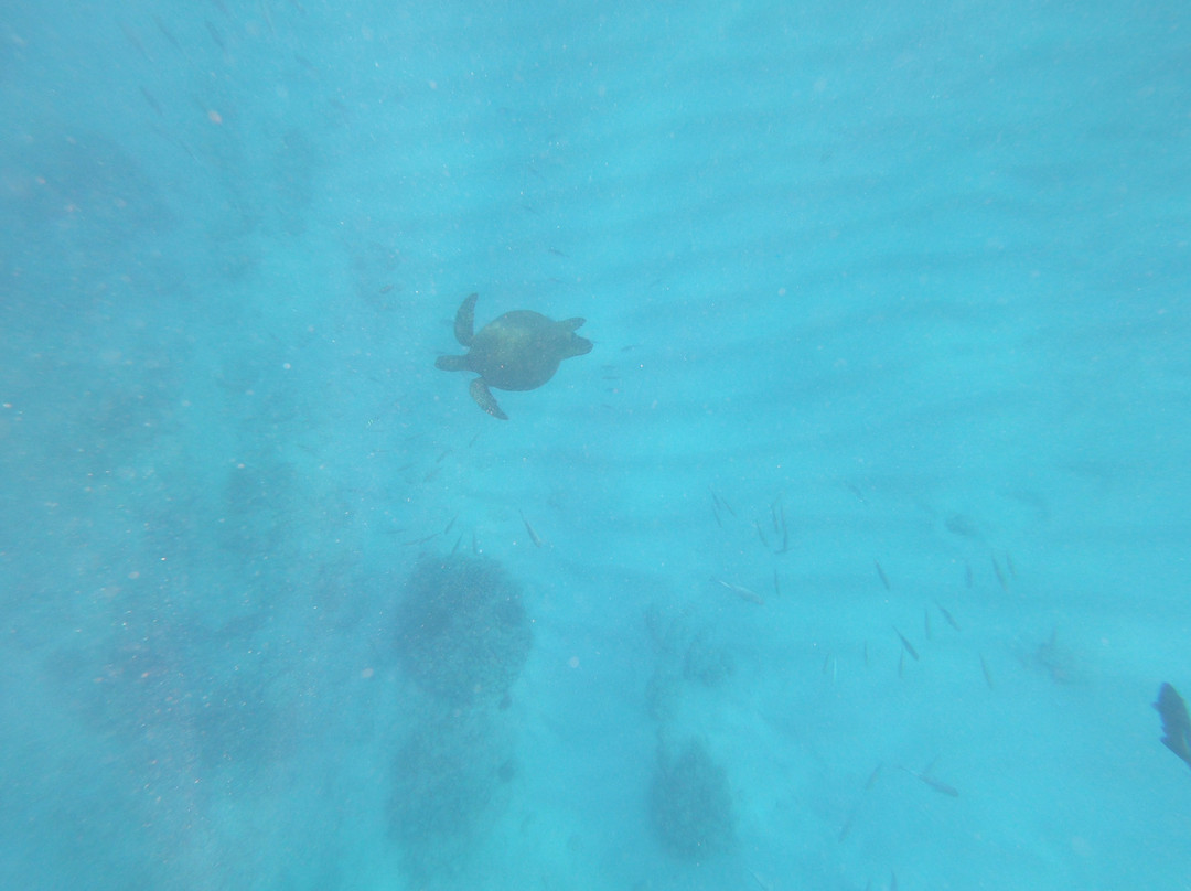 Oahu Catamarans-火奴鲁鲁必去景点
