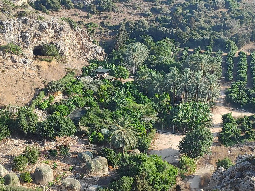 Hotem Hacarmel Nature Reserve景点图片