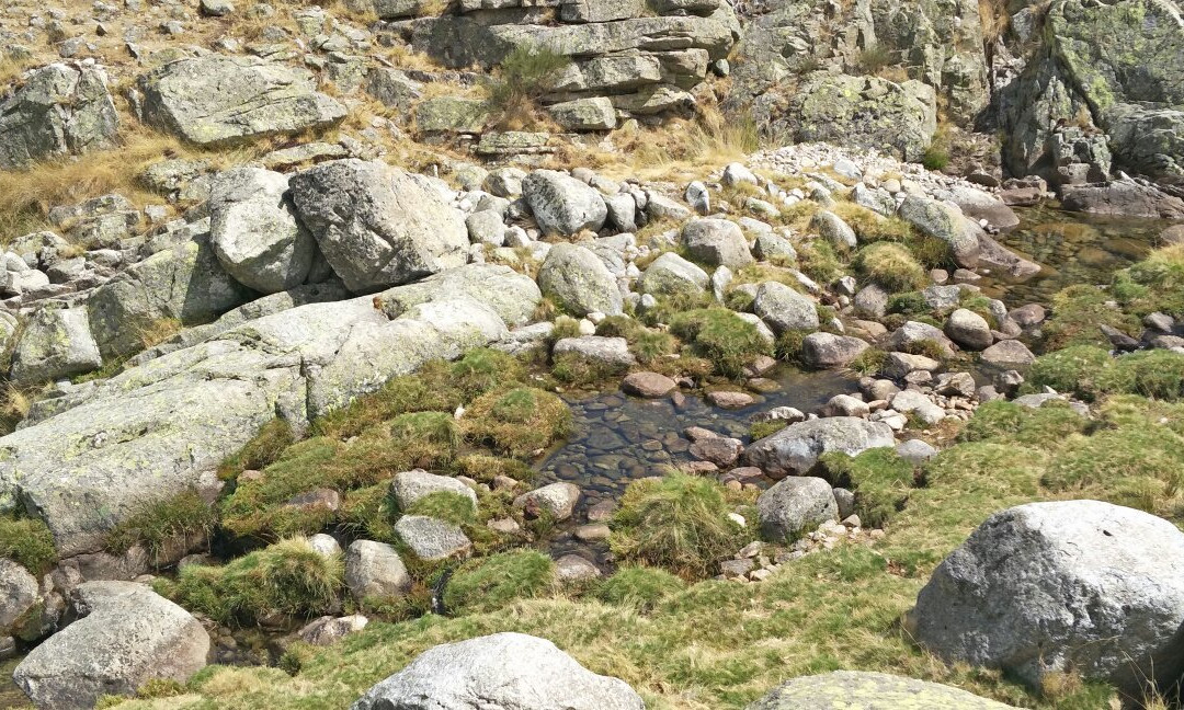 Sierra de Gredos景点图片