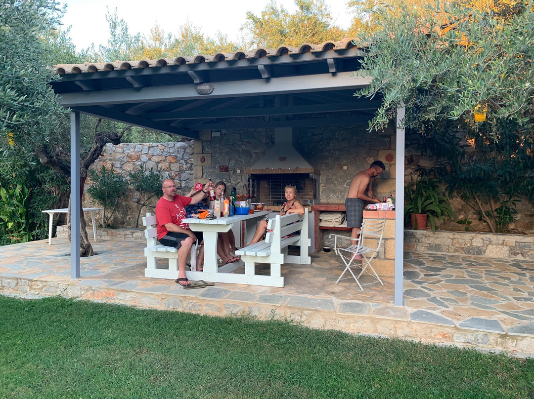 Electra Houses主图