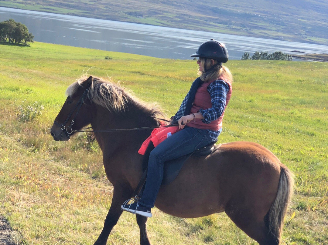 Skjaldarvik Tours-阿克雷里必去景点