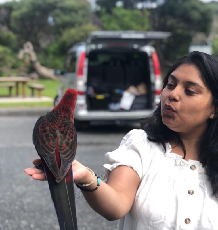 Great Private Tours-墨尔本必去景点