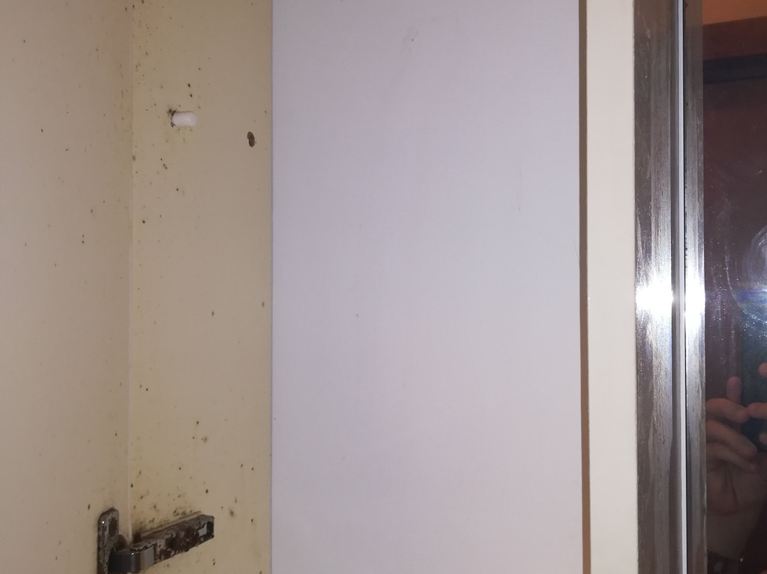 Albergo Altamira主图