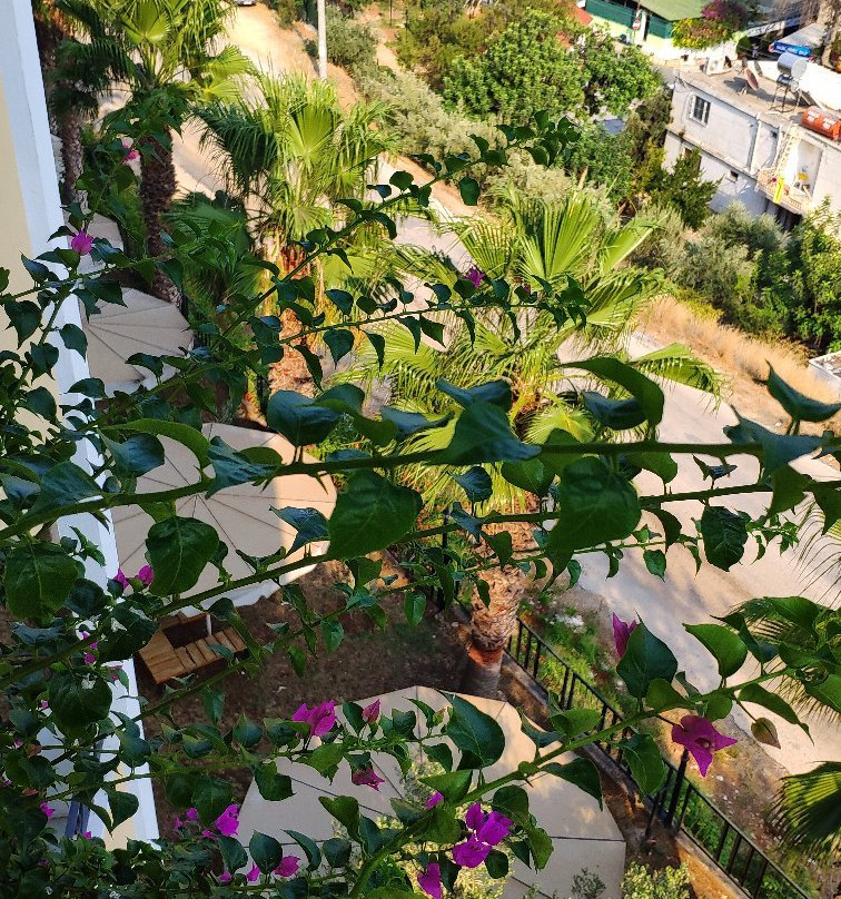 Calamie Hotel & Beach Club主图