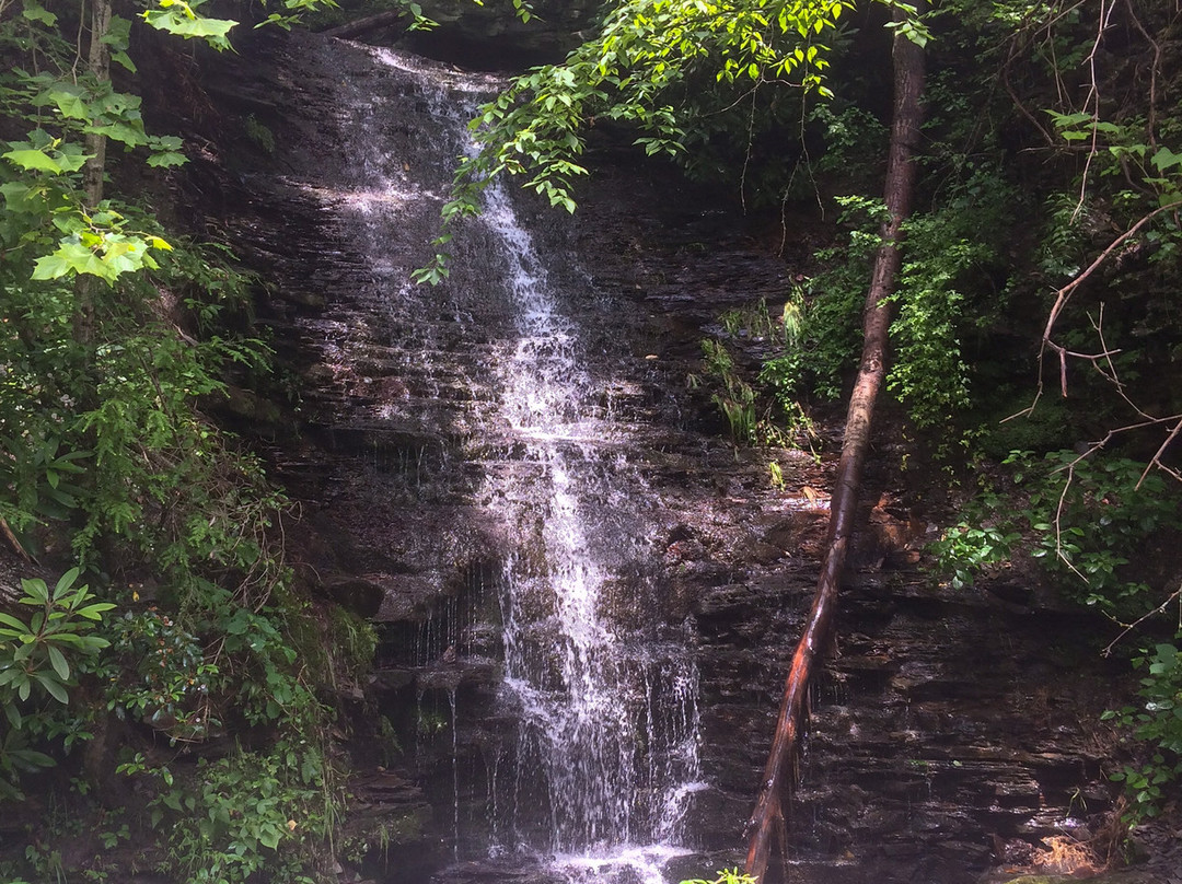 Allegheny River Trail景点图片