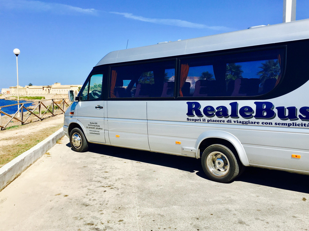 REALEBUS-锡拉库扎必去景点