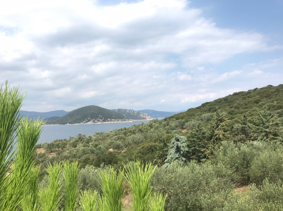 Vrasidas Beach景点图片