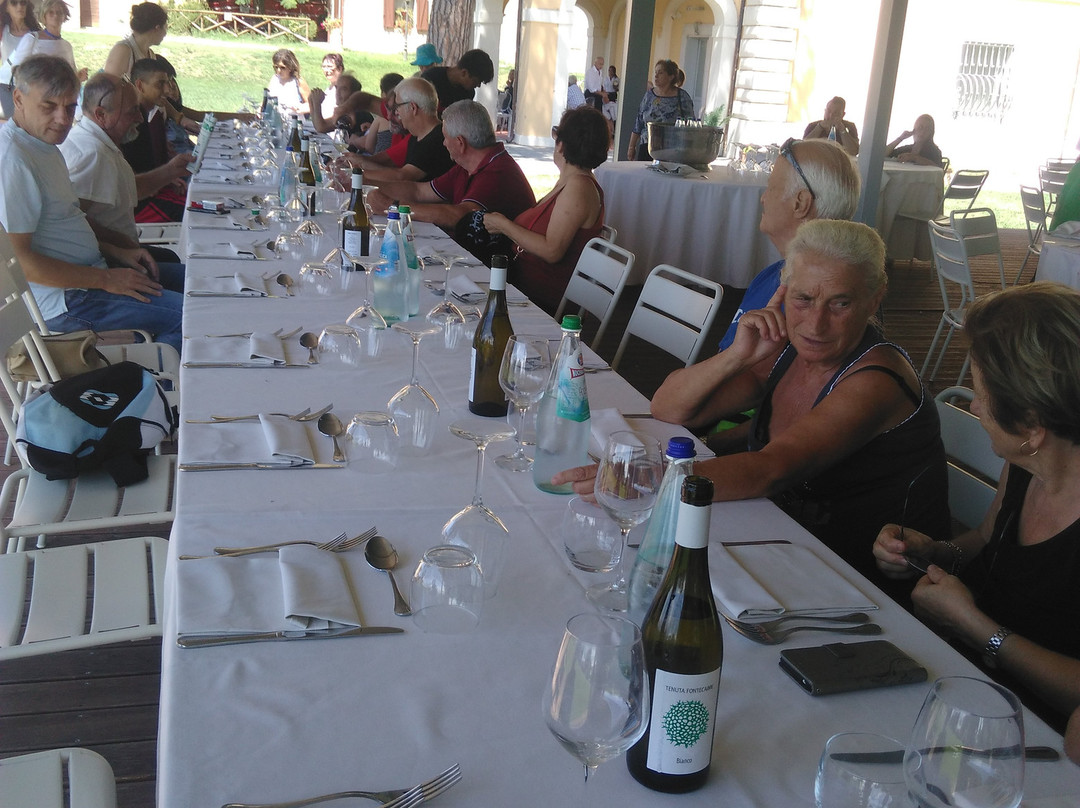 Isola Polvese-Castiglione del Lago必去景点